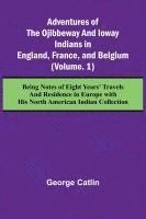 bokomslag Adventures of the Ojibbeway and Ioway Indians in England, France, and Belgium; (Vol. 1) Being Notes of Eight Years' Travels and Residence in Europe with his North American Indian Collection