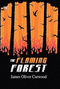 bokomslag Flaming Forest