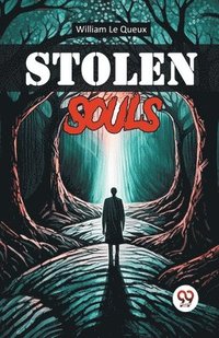 bokomslag Stolen Souls