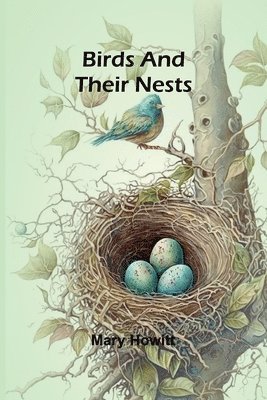 bokomslag Birds and their nests