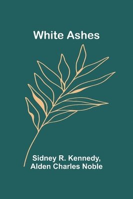 bokomslag White Ashes
