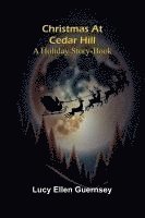 bokomslag Christmas at Cedar Hill