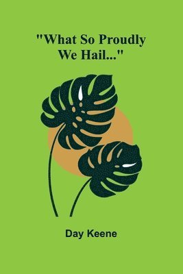 bokomslag What So Proudly We Hail...