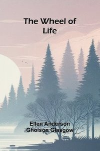 bokomslag The Wheel Of Life