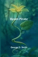 bokomslag Beam Pirate