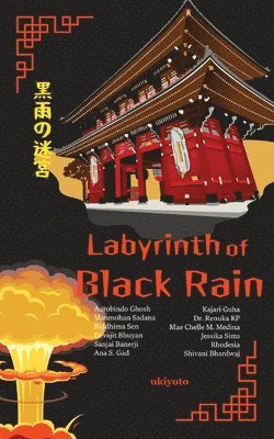 bokomslag Labyrinth of Black Rain