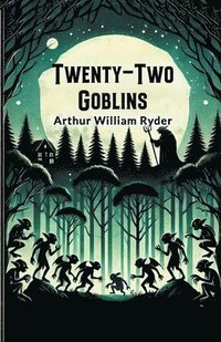 bokomslag Twenty-Two Goblins