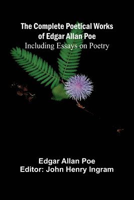 bokomslag The Complete Poetical Works Of Edgar Allan Poe; Including Essays On Poetry