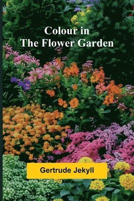 Colour In The Flower Garden 1
