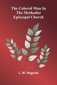 bokomslag The Colored Man In The Methodist Episcopal Church