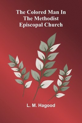 bokomslag The Colored Man In The Methodist Episcopal Church