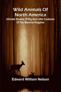 bokomslag Wild Animals of North America Intimate Studies of Big and Little Creatures of the Mammal Kingdom