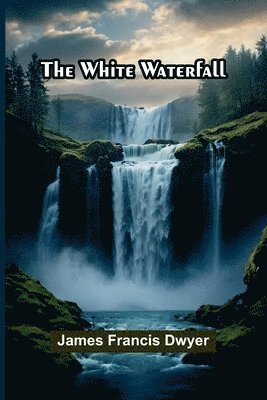 bokomslag The White Waterfall