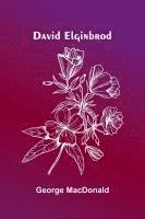 bokomslag David Elginbrod