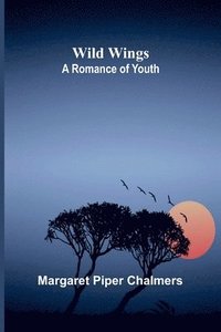 bokomslag Wild Wings: A Romance of Youth
