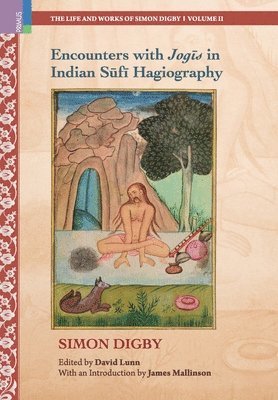 bokomslag Encounters with Jog?s in Indian S?f? Hagiography