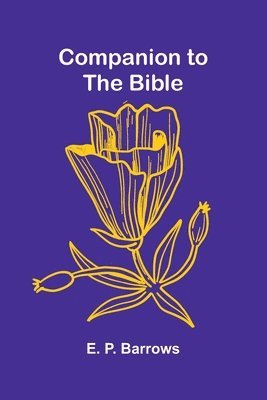bokomslag Companion To The Bible