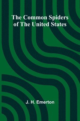 The Common Spiders Of The United States 1