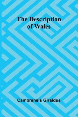 bokomslag The Description Of Wales