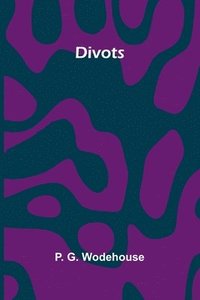 bokomslag Divots