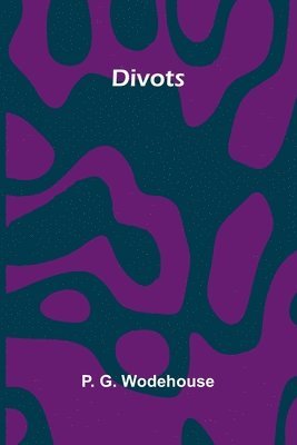 bokomslag Divots