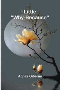 bokomslag Little "Why-Because"