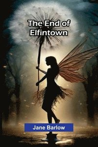 bokomslag The End Of Elfintown