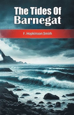 bokomslag Tides Of Barnegat (Edition2024)