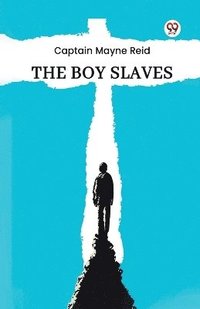 bokomslag Boy Slaves