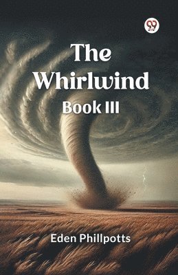 bokomslag Whirlwind Book III