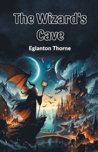 bokomslag Wizard's Cave (Edition2024)