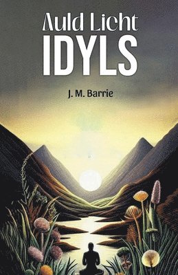 bokomslag Auld Licht Idyls (Edition2024)