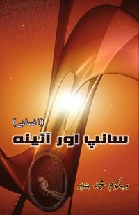 bokomslag Saanp aur Aaina (Short Stories)
