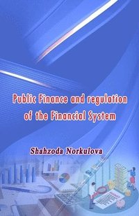bokomslag Public Finance and regulation of the Financial System