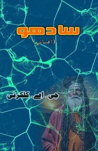bokomslag Saadhu (Short Stories)
