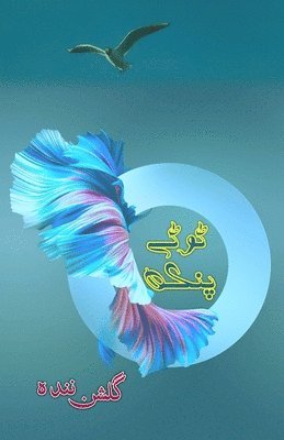 bokomslag Toote Pankh: (Broken wings, Urdu Novel)