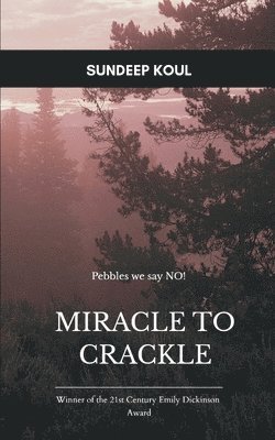 bokomslag Miracle to Crackle