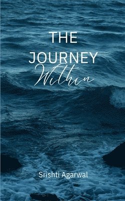 bokomslag Journey Within