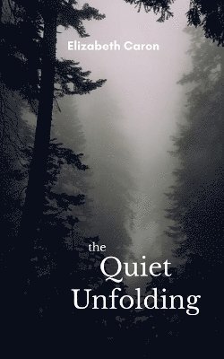 Quiet Unfolding 1