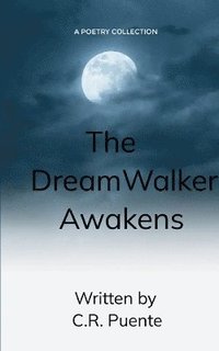 bokomslag Dream Walker Awakens