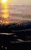 bokomslag Frozen Sunsets