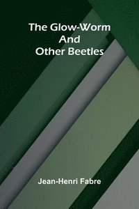 bokomslag The Glow-Worm and Other Beetles