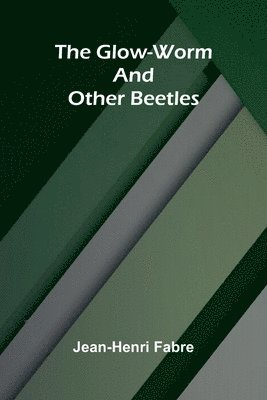 bokomslag The Glow-Worm and Other Beetles