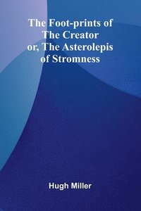 bokomslag The Foot-prints of the Creator: or, The Asterolepis of Stromness