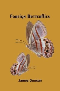 bokomslag Foreign Butterflies