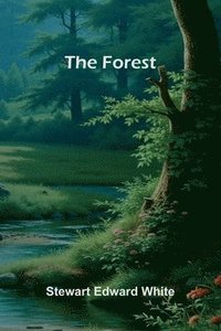 bokomslag The Forest