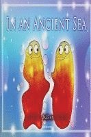 bokomslag In an Ancient Sea'