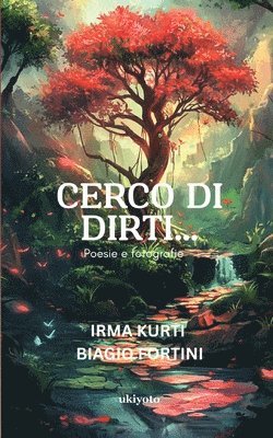 bokomslag Cerco di dirti...