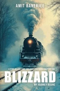 bokomslag Blizzard: My Journey Begins
