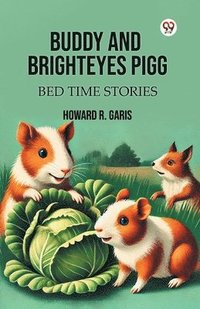 bokomslag Buddy And Brighteyes PiggBed Time Stories (Edition1)